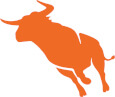 Bullhorn